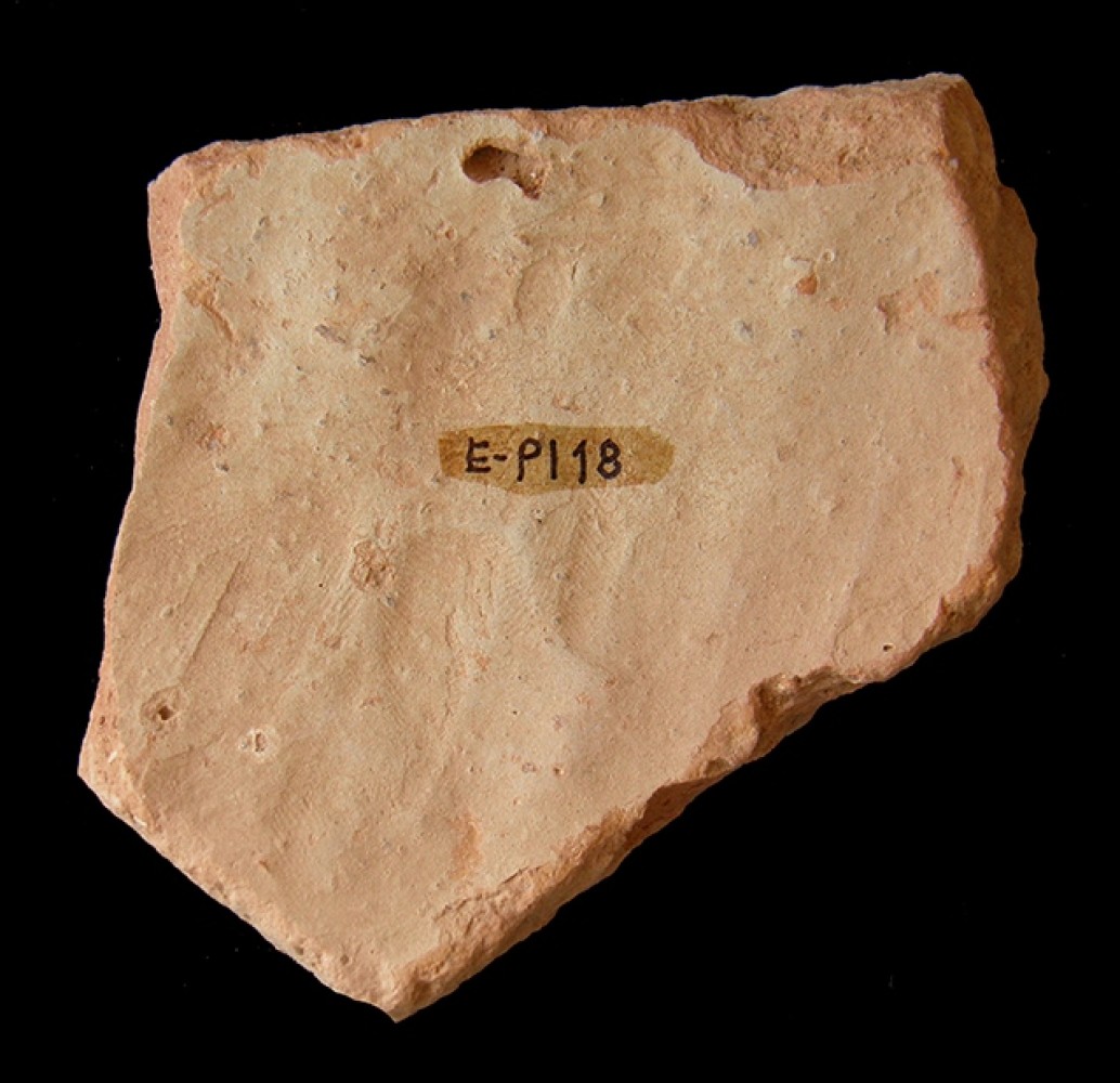 101.JPG