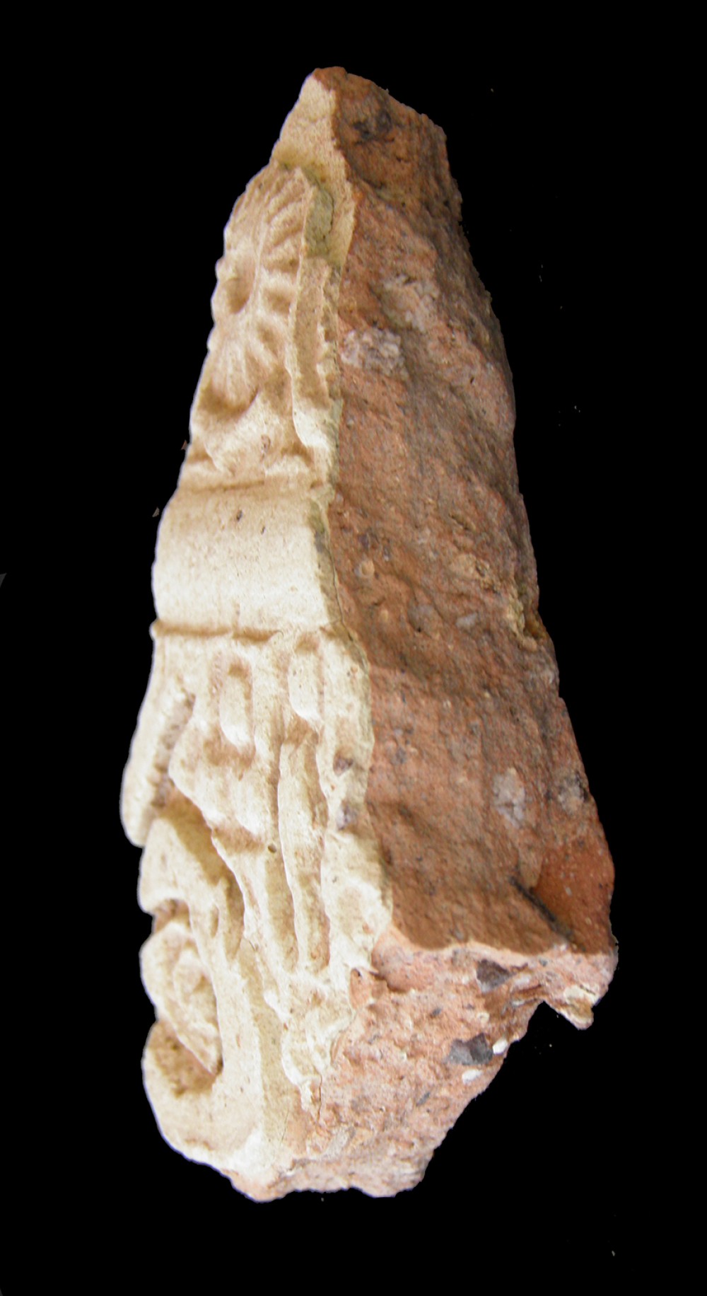 100.JPG