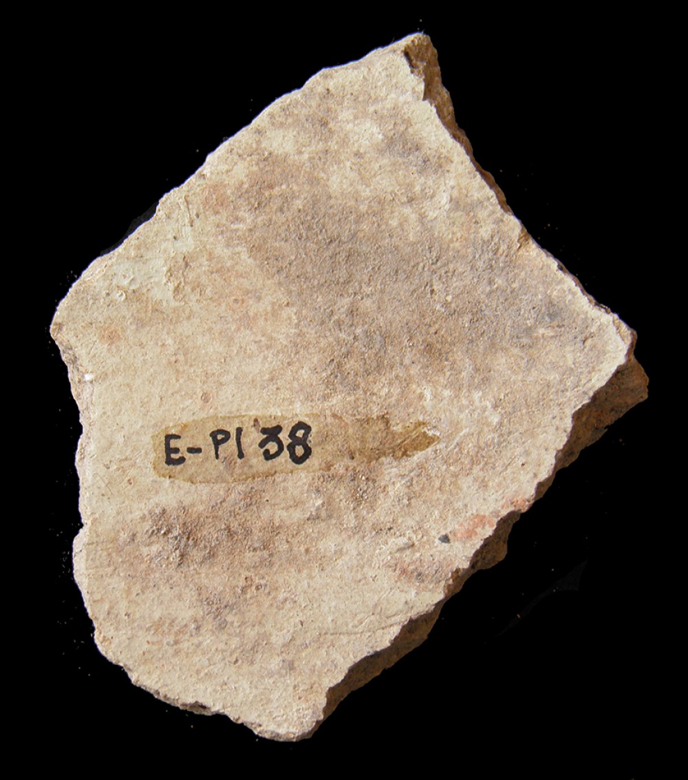 103.JPG