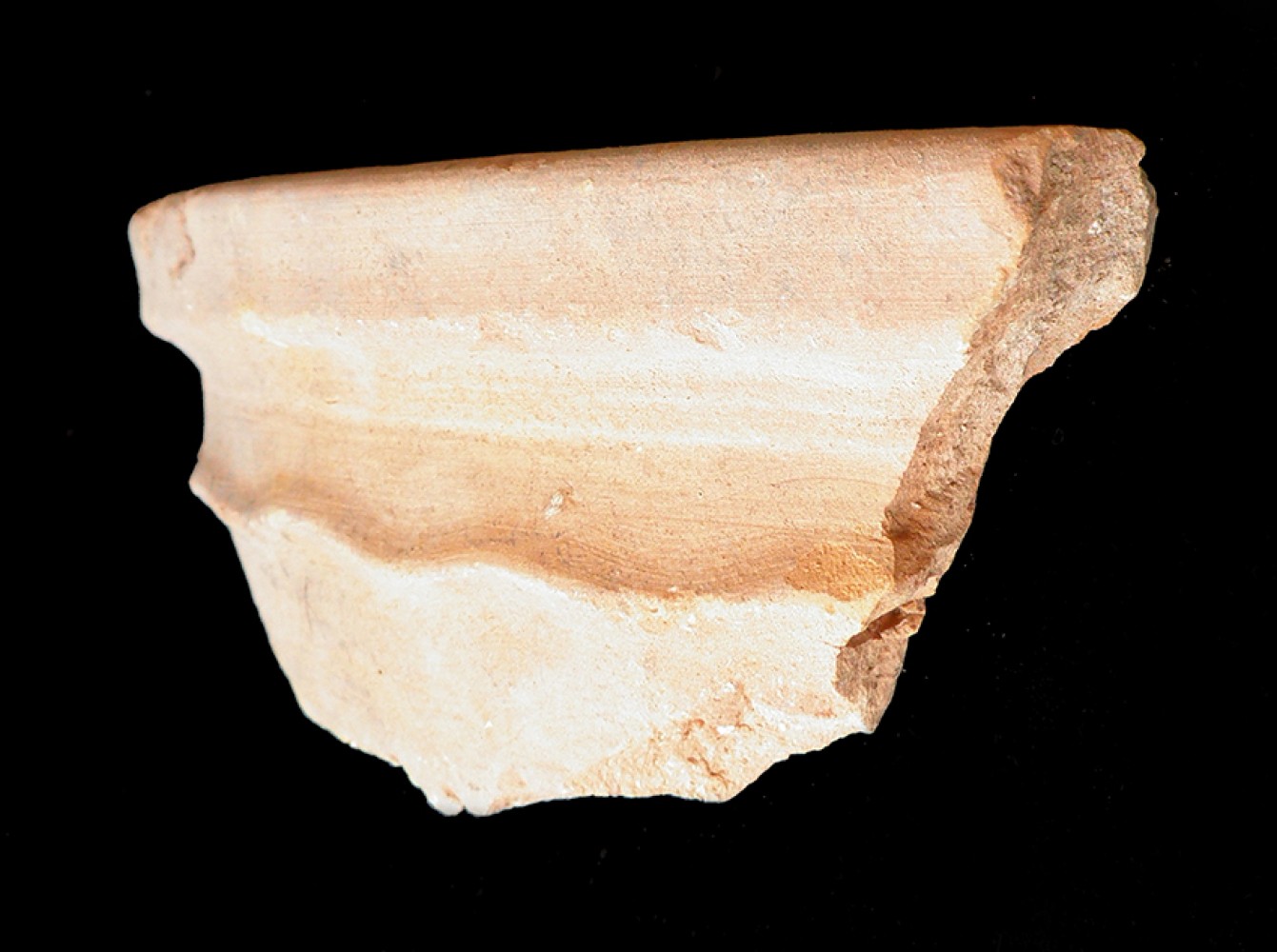 103.JPG