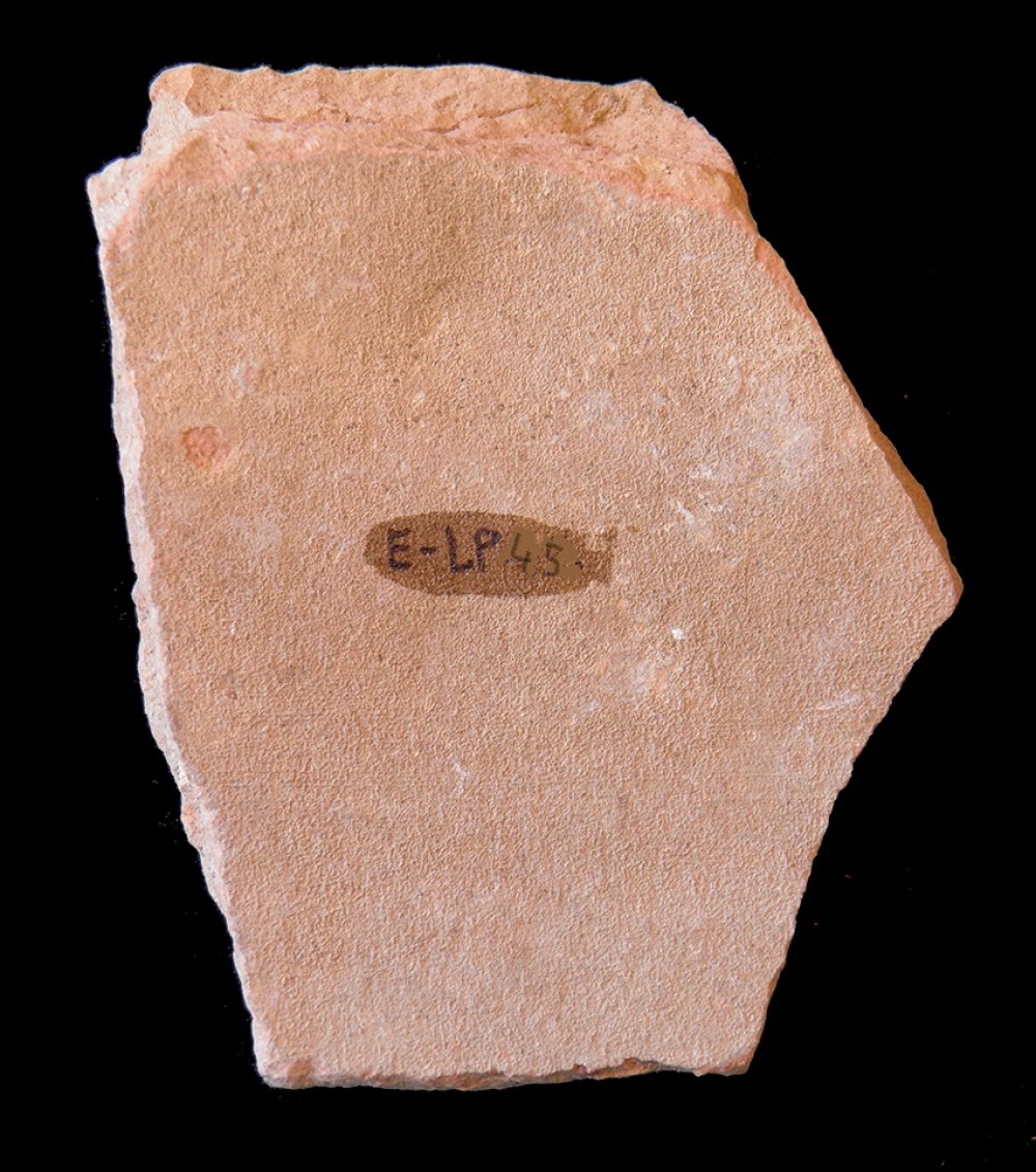 103.JPG