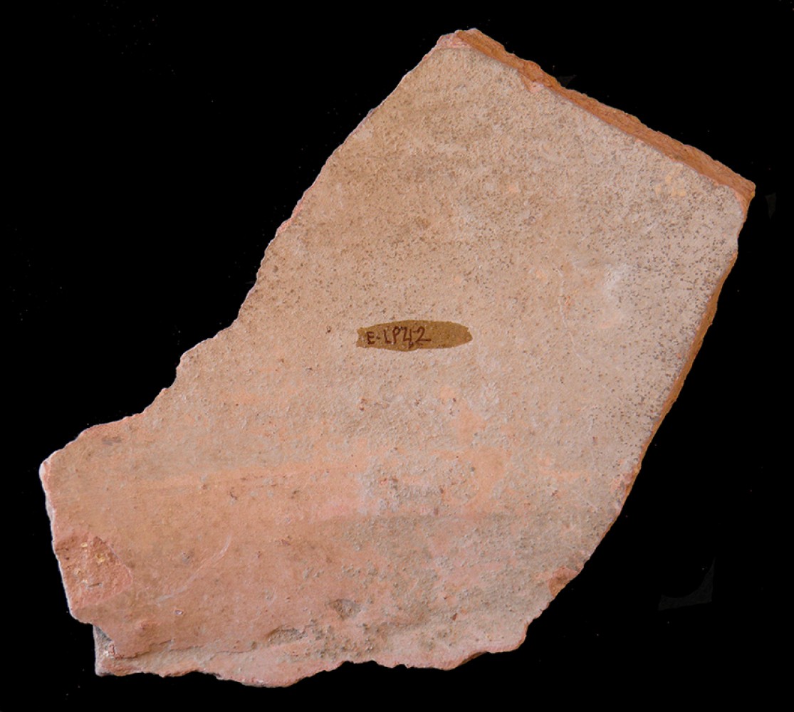 104.JPG
