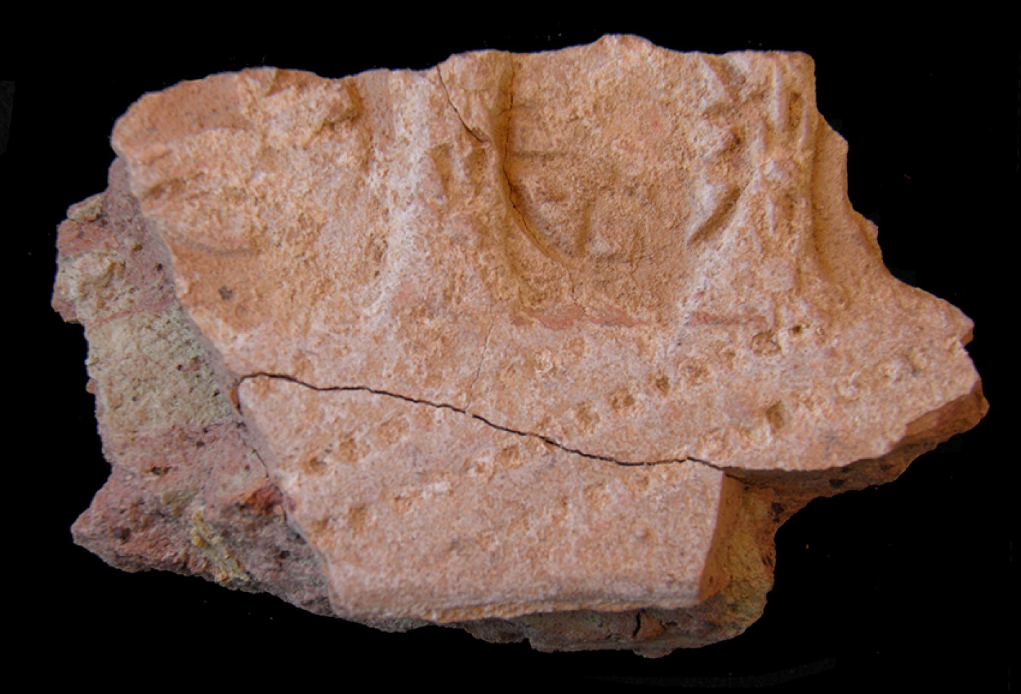 105.JPG