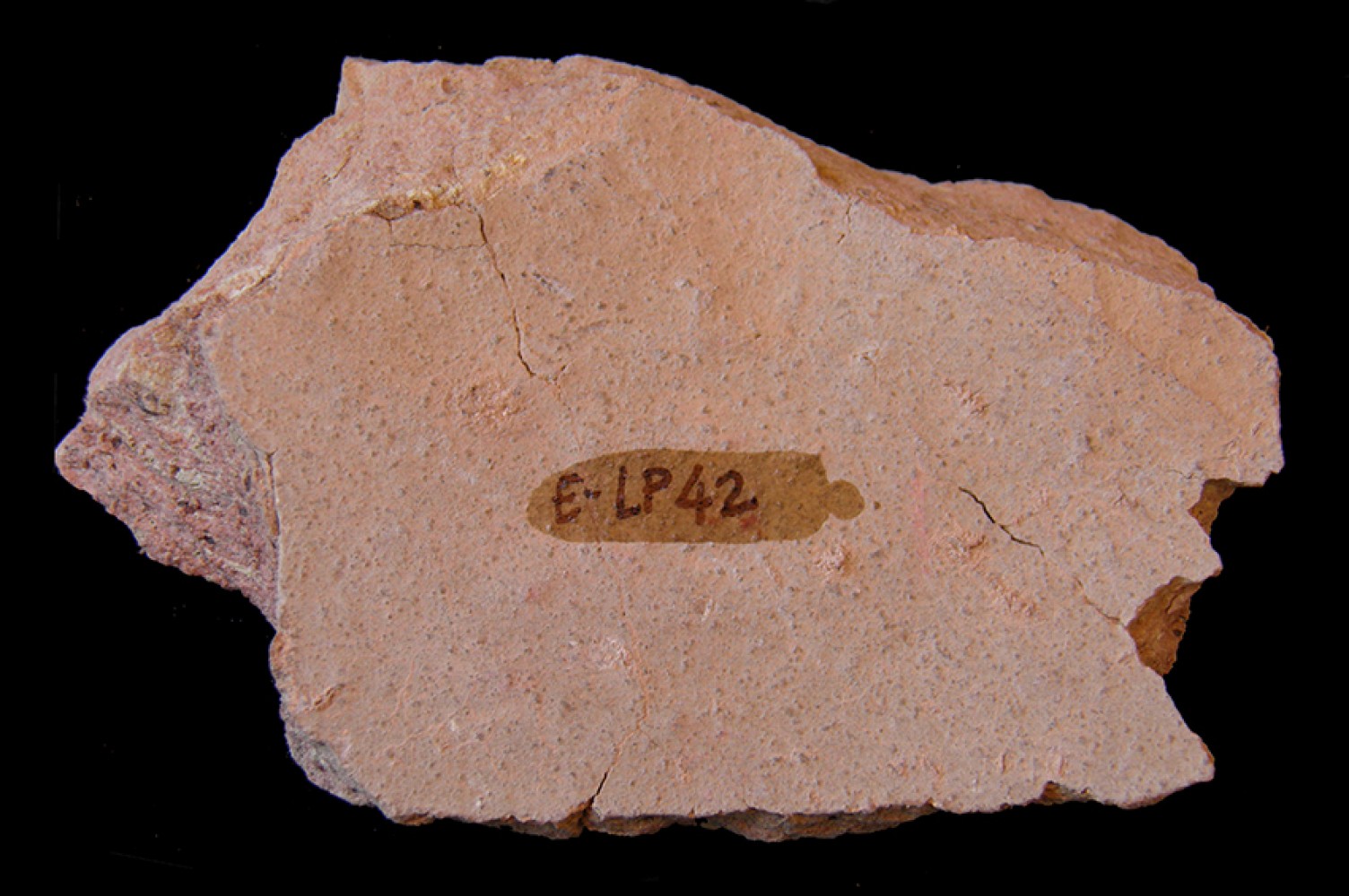 106.JPG