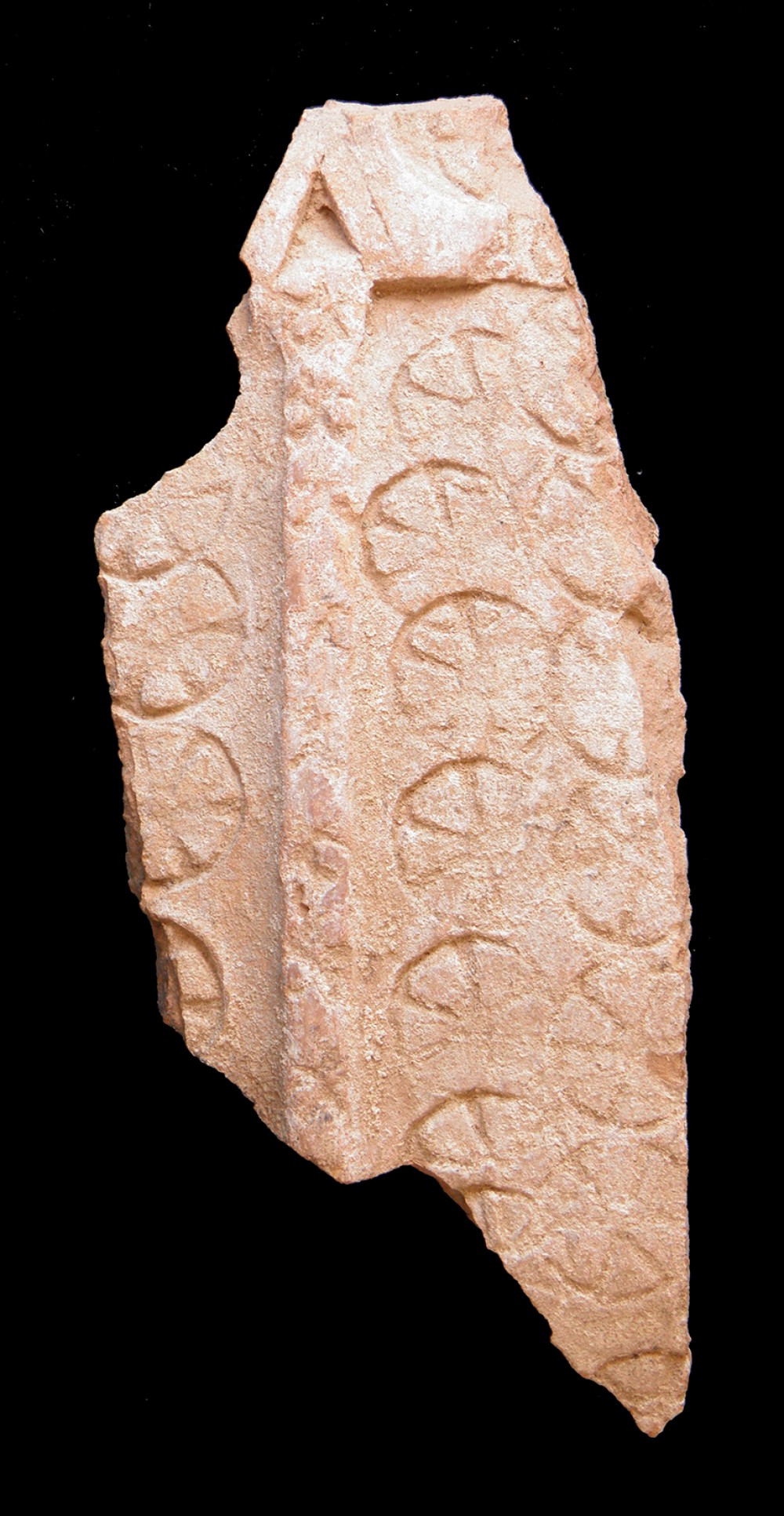 107.JPG