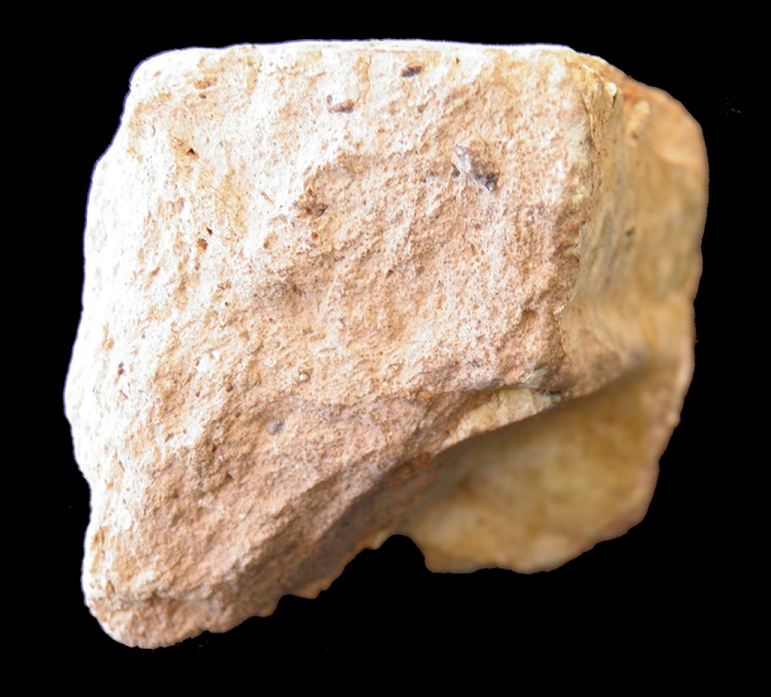 102.JPG