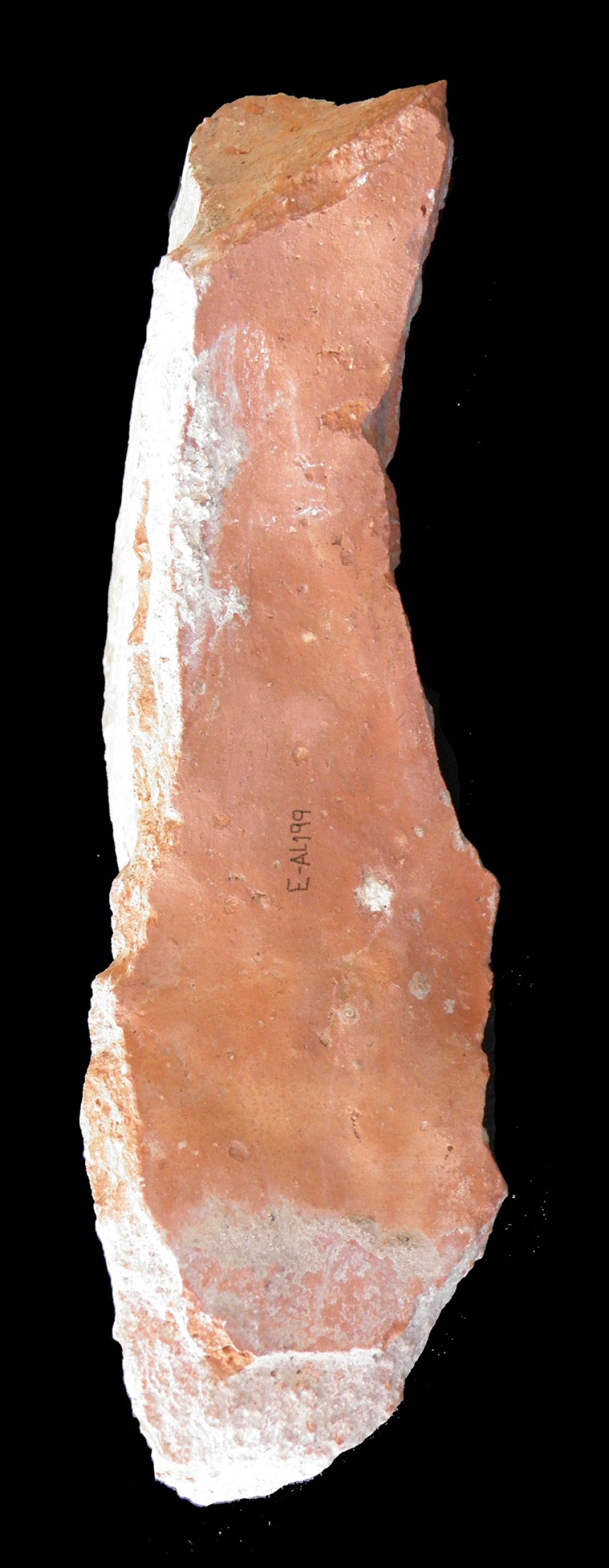 103.JPG