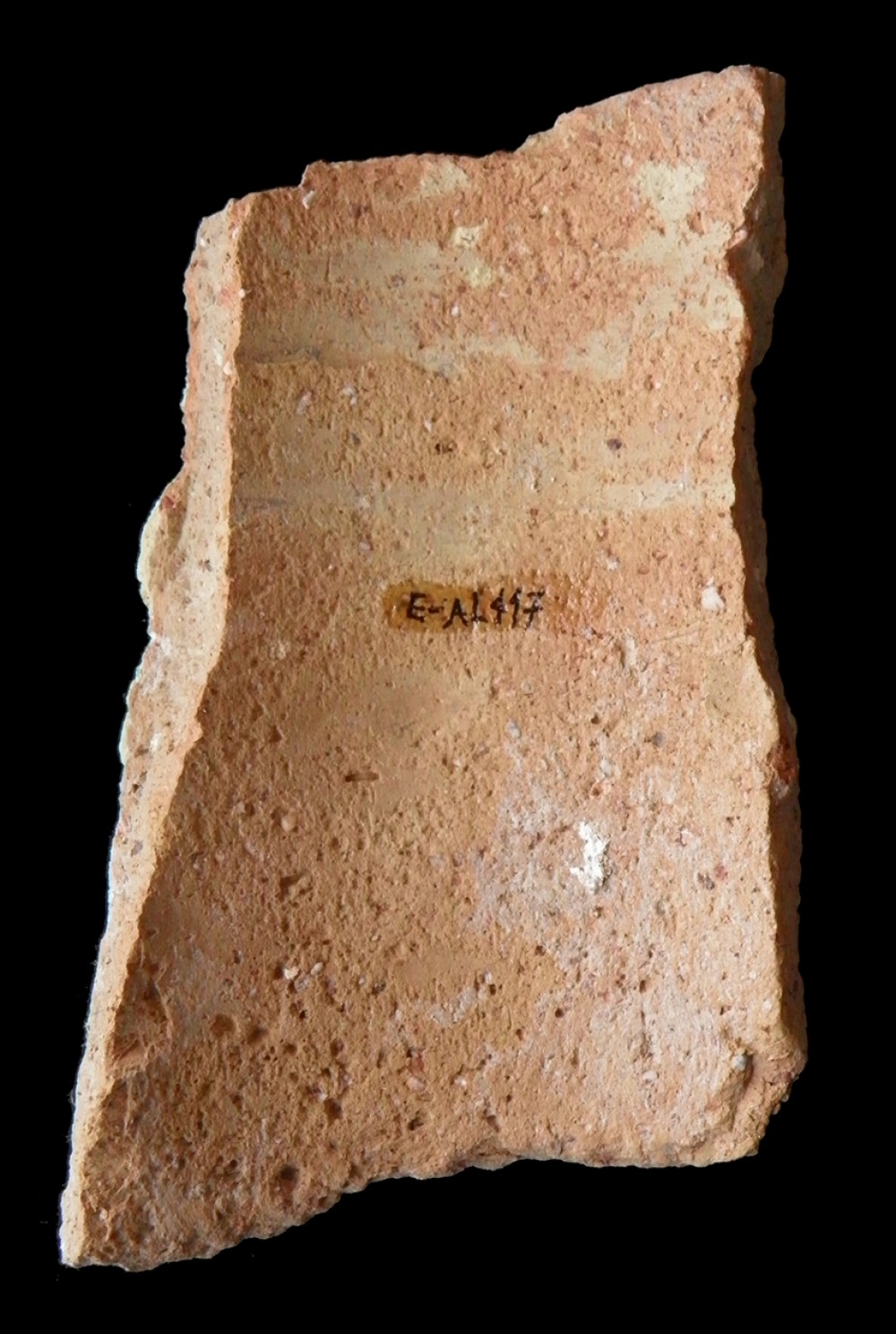 101.JPG