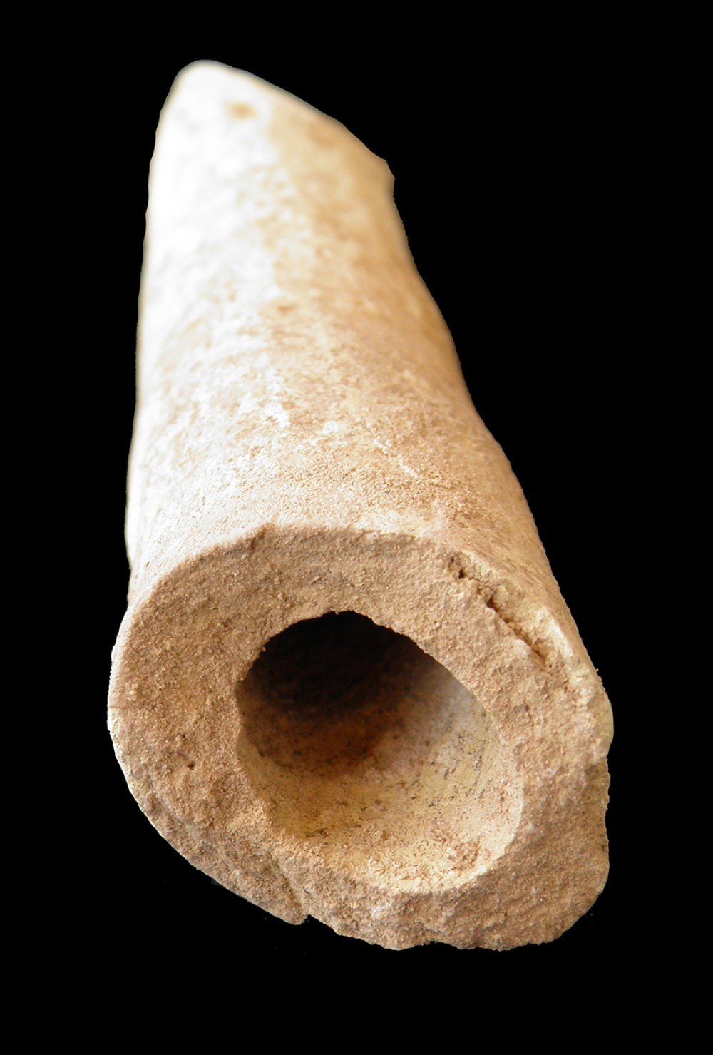 102.JPG