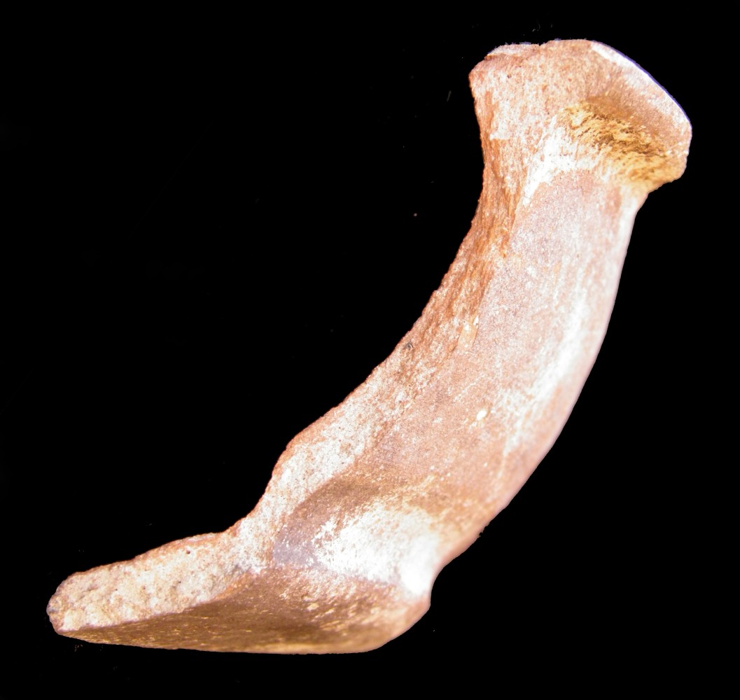 100.JPG