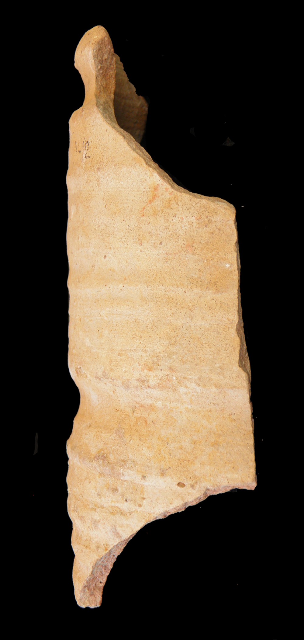 100.JPG