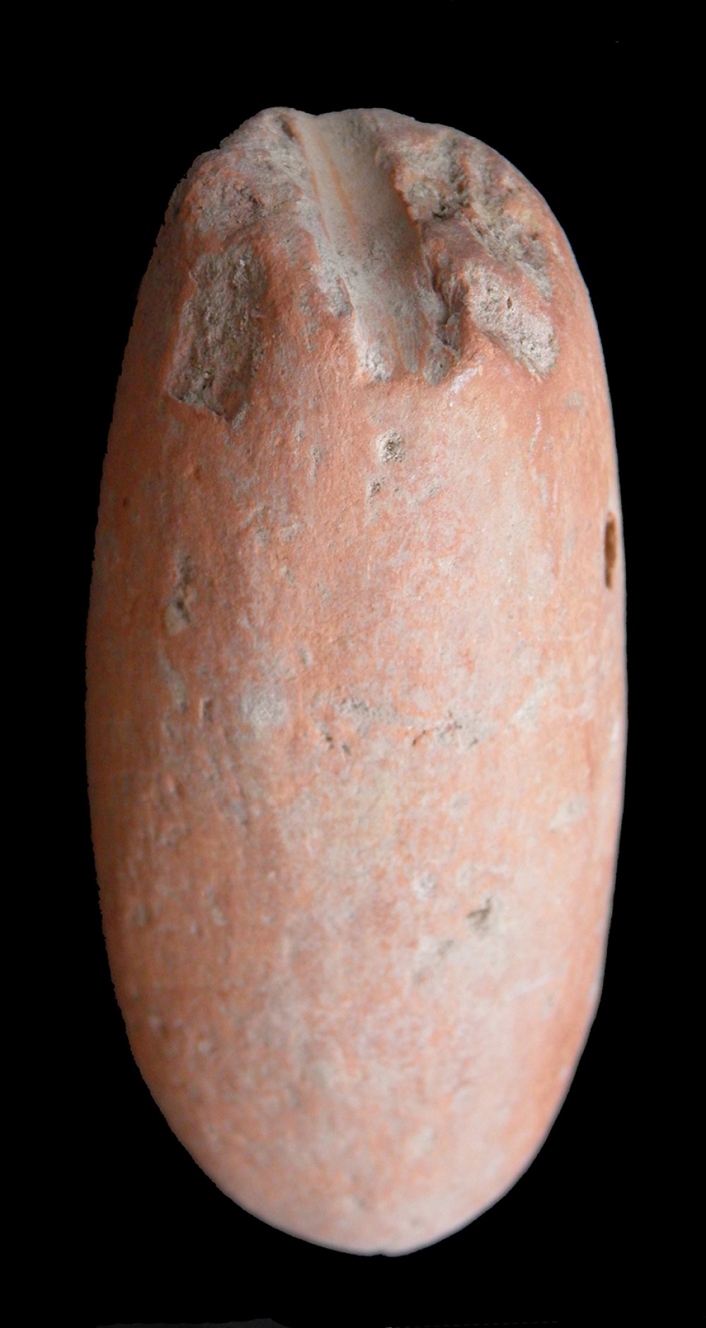 100.JPG