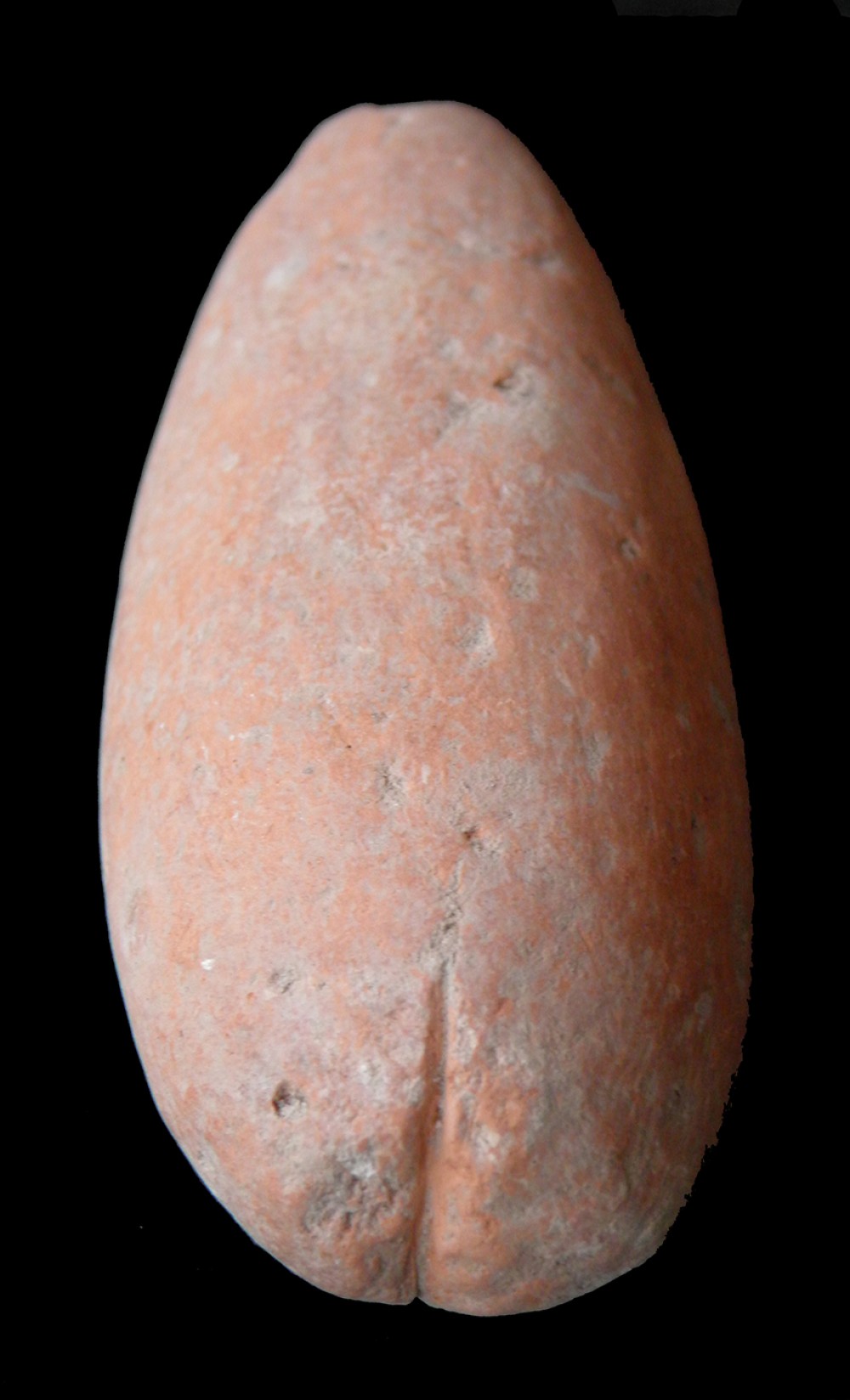 101.JPG