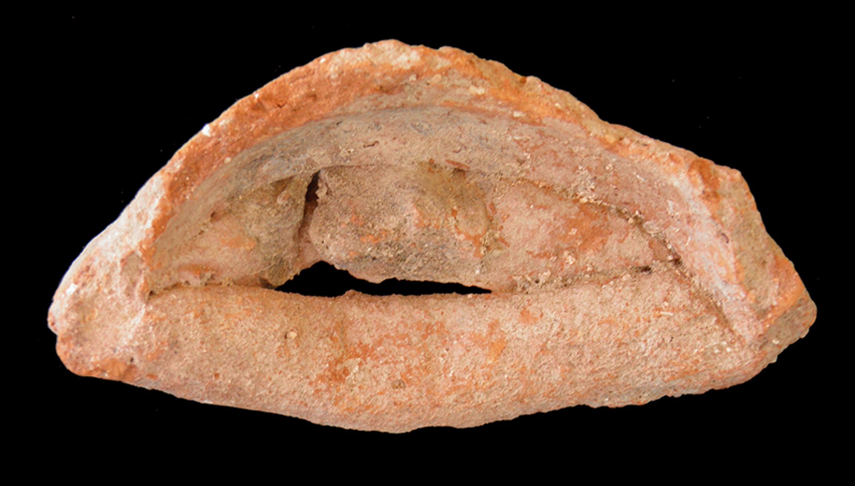 100.JPG