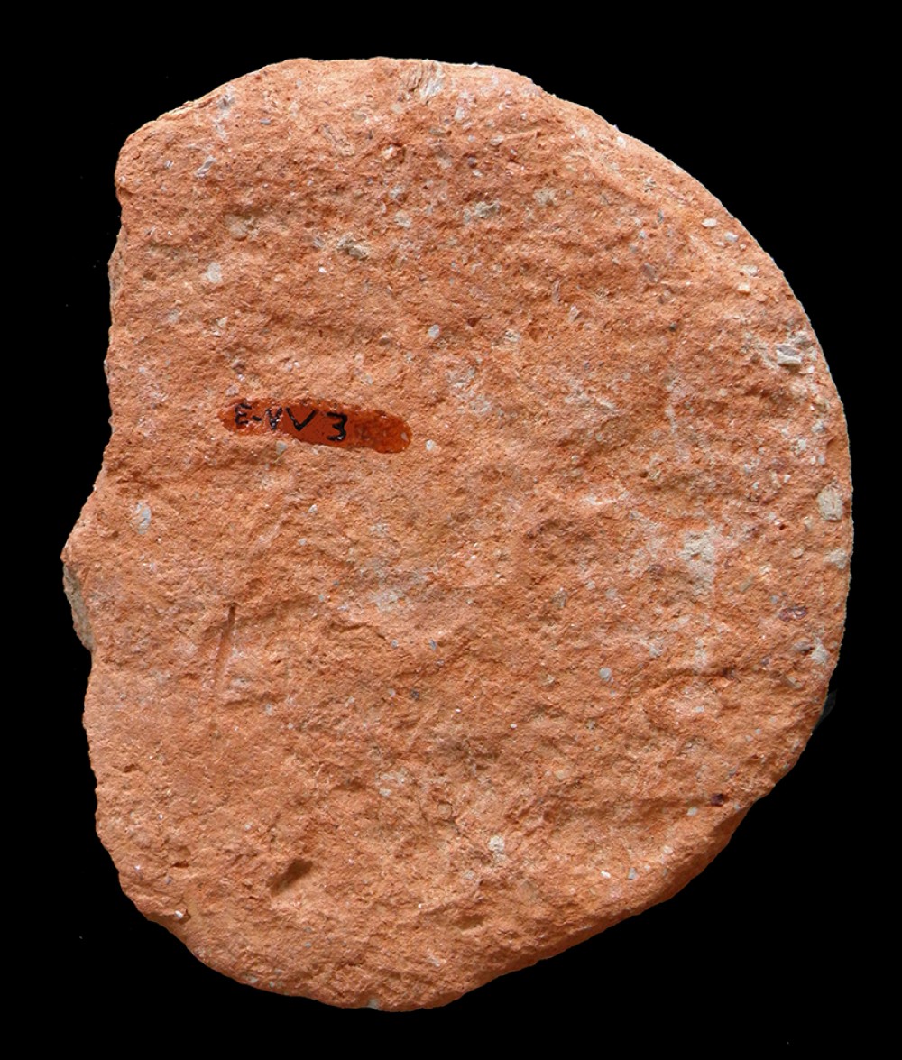 102.JPG