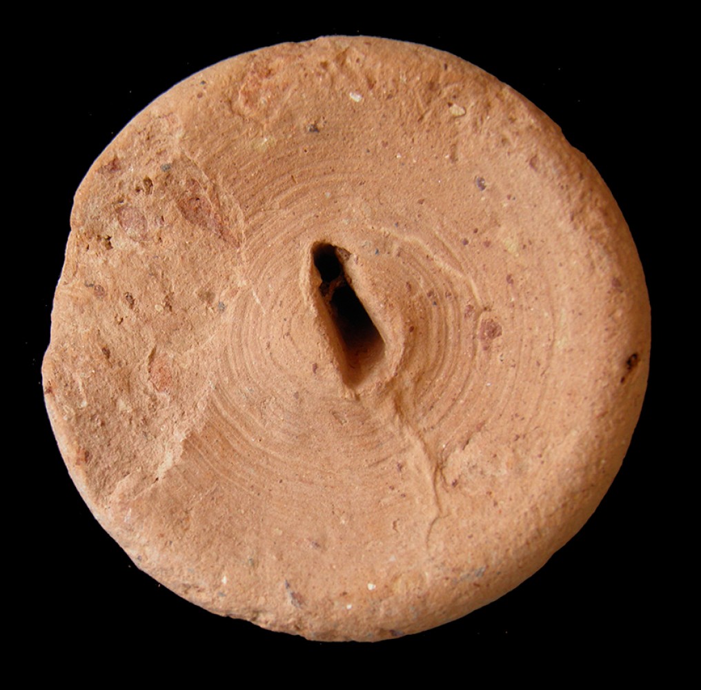 100.JPG