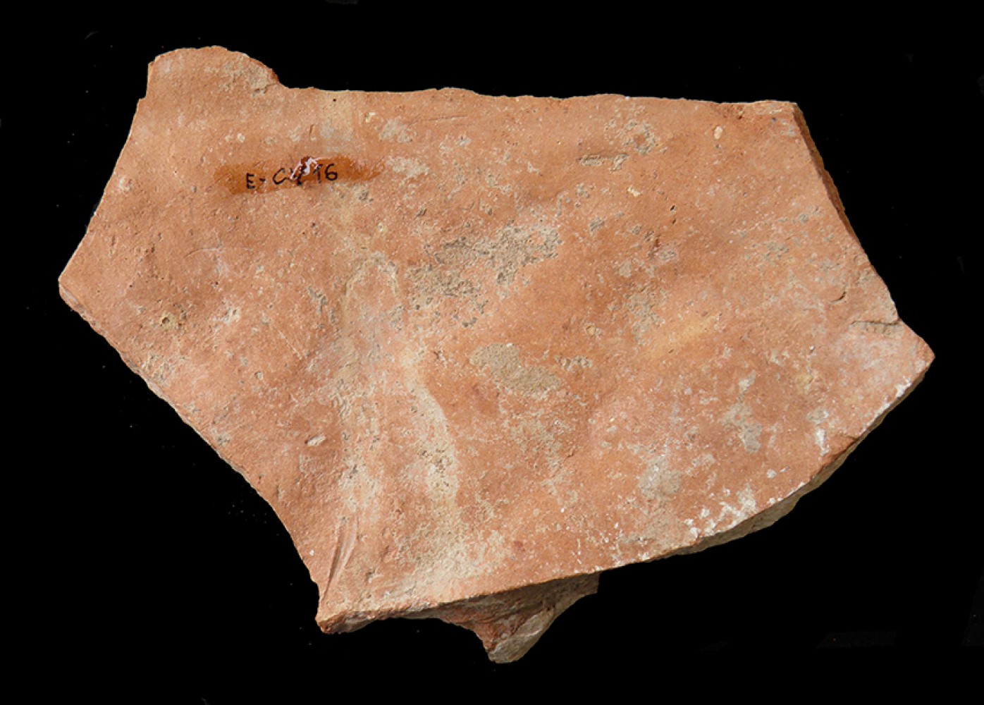 102.JPG