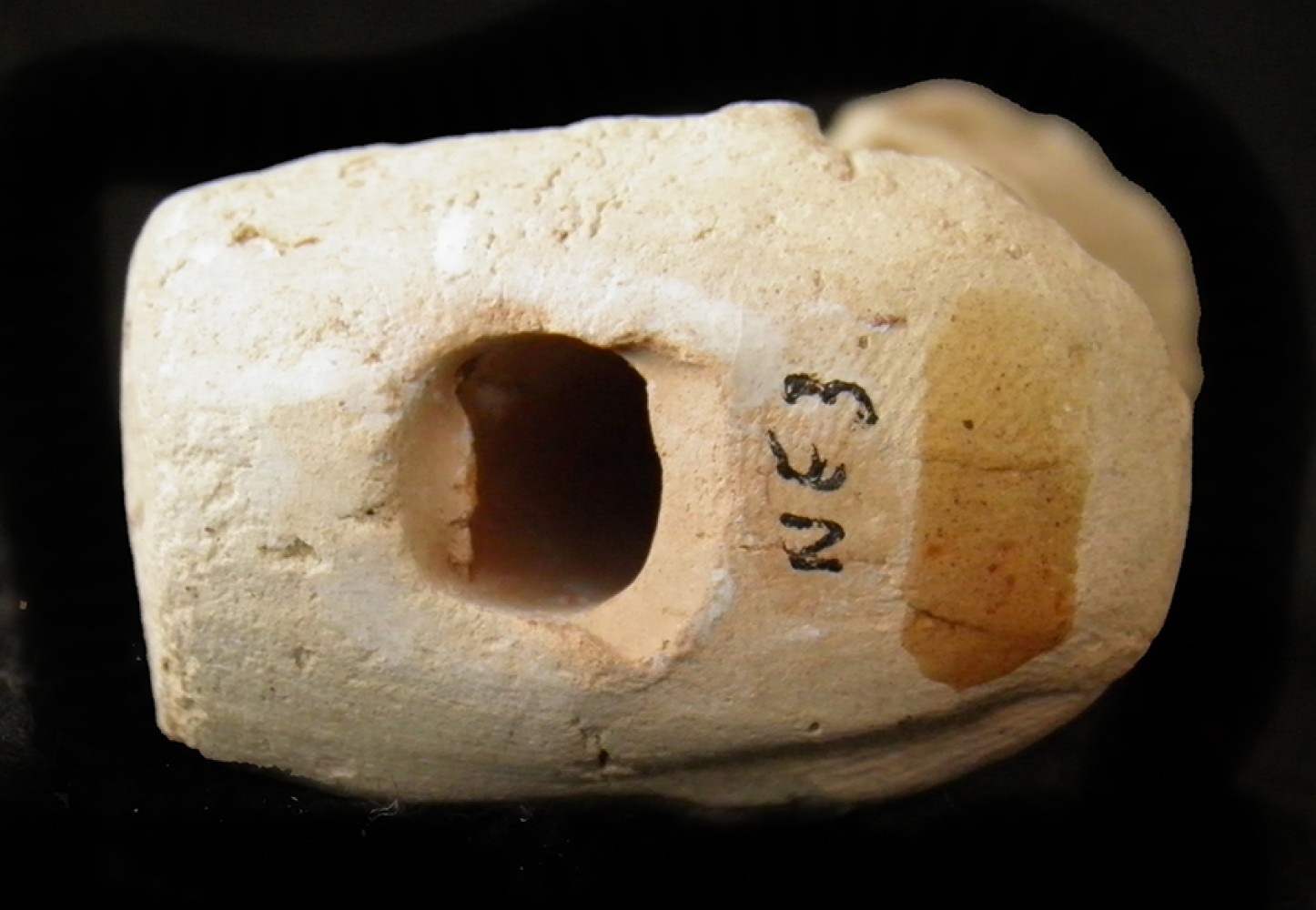 103.JPG