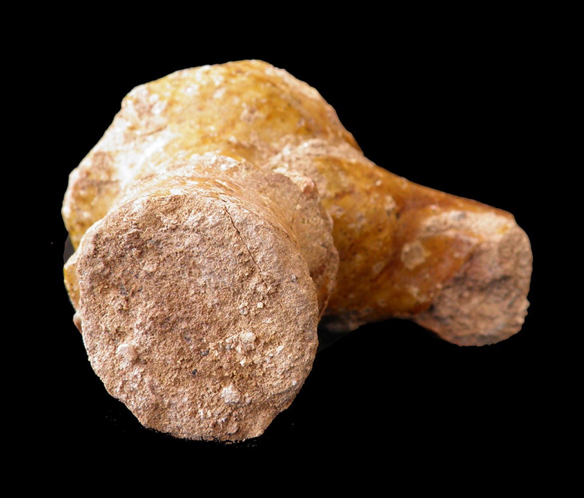 103.JPG