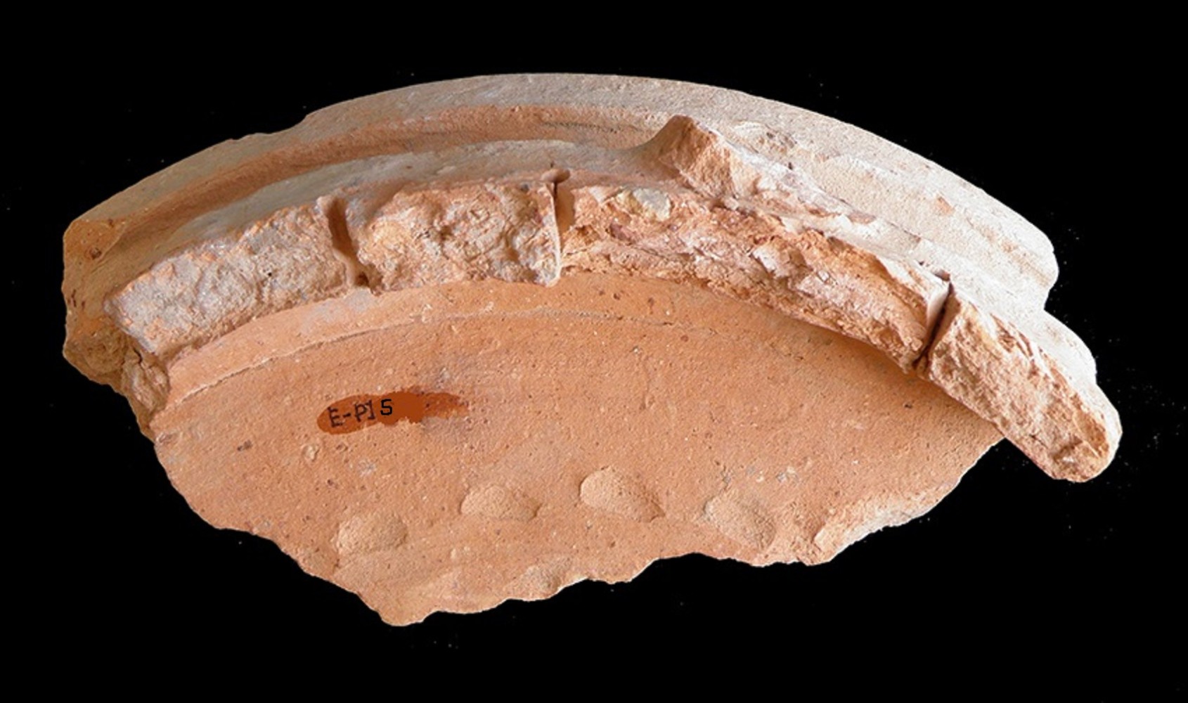 103.JPG