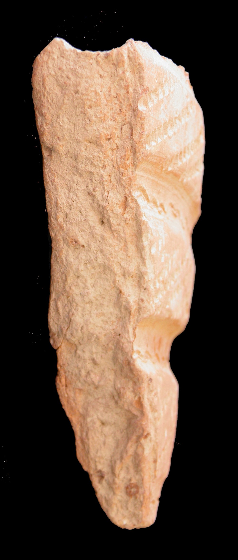 100.JPG