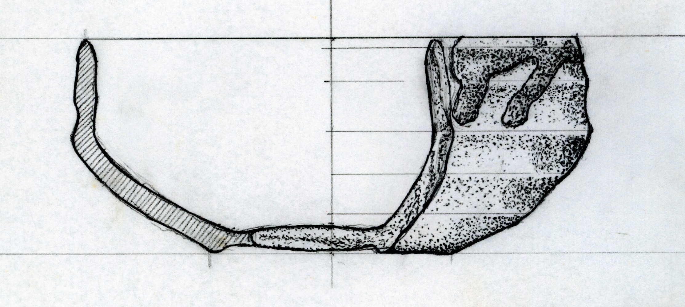102.jpg