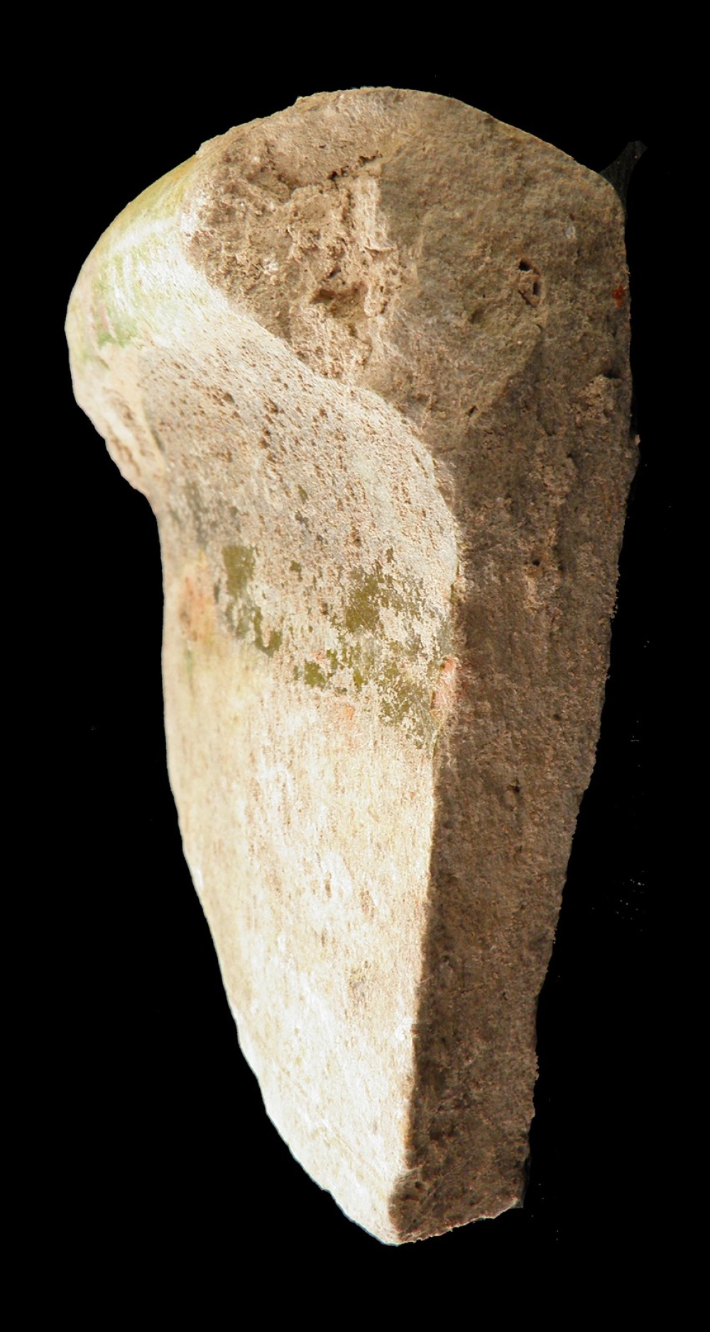 100.JPG