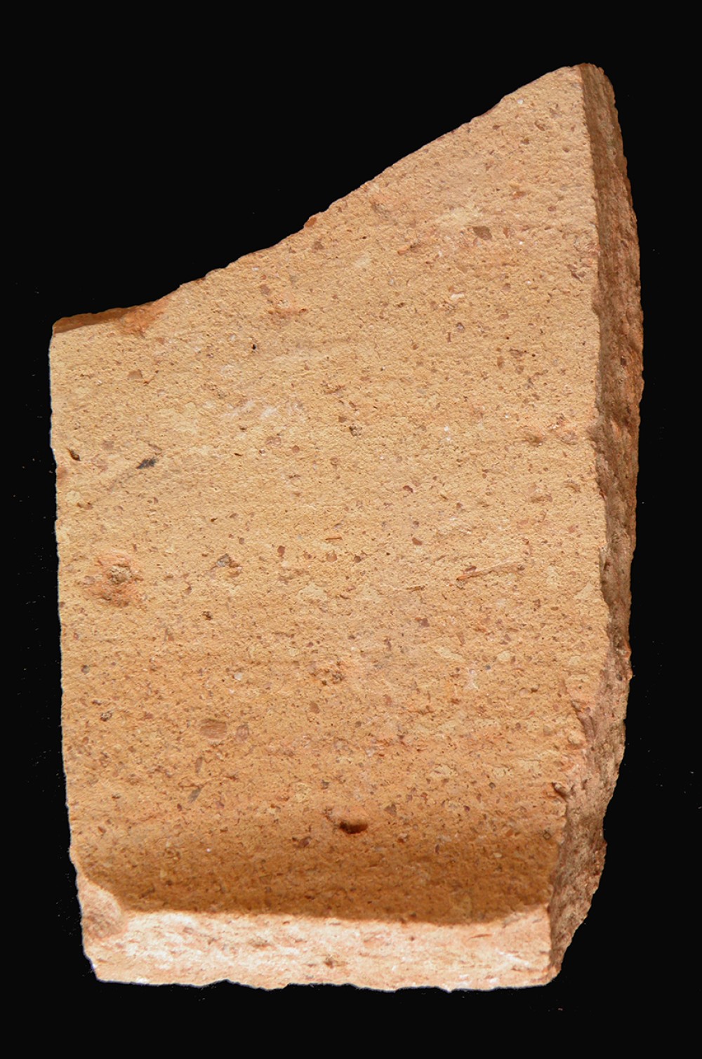101.JPG
