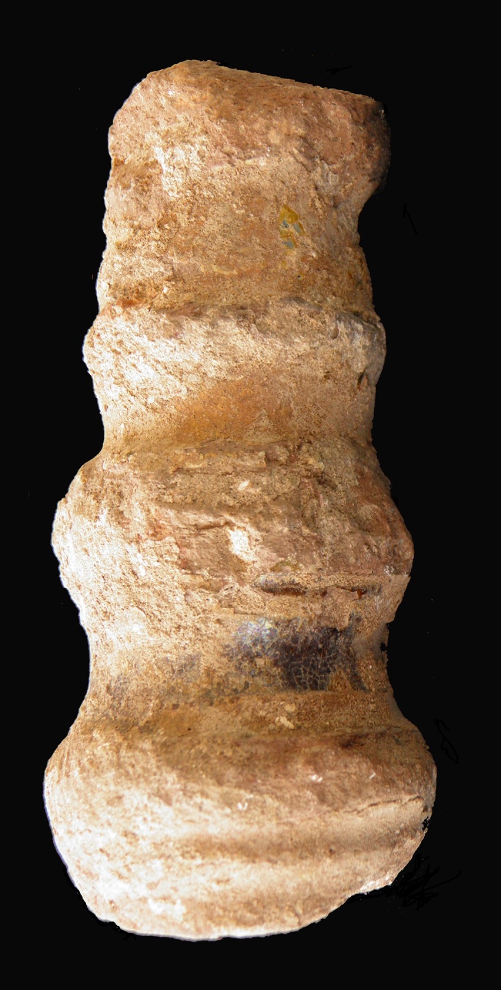 100.JPG