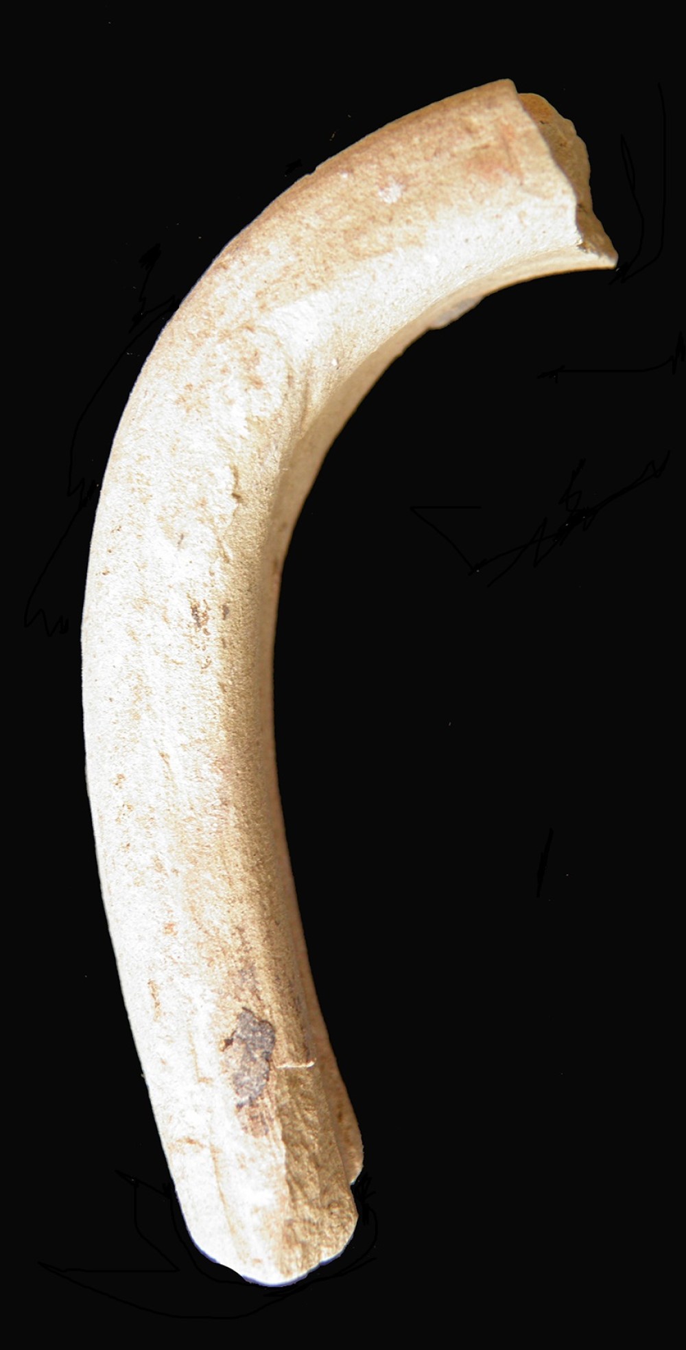 100.JPG