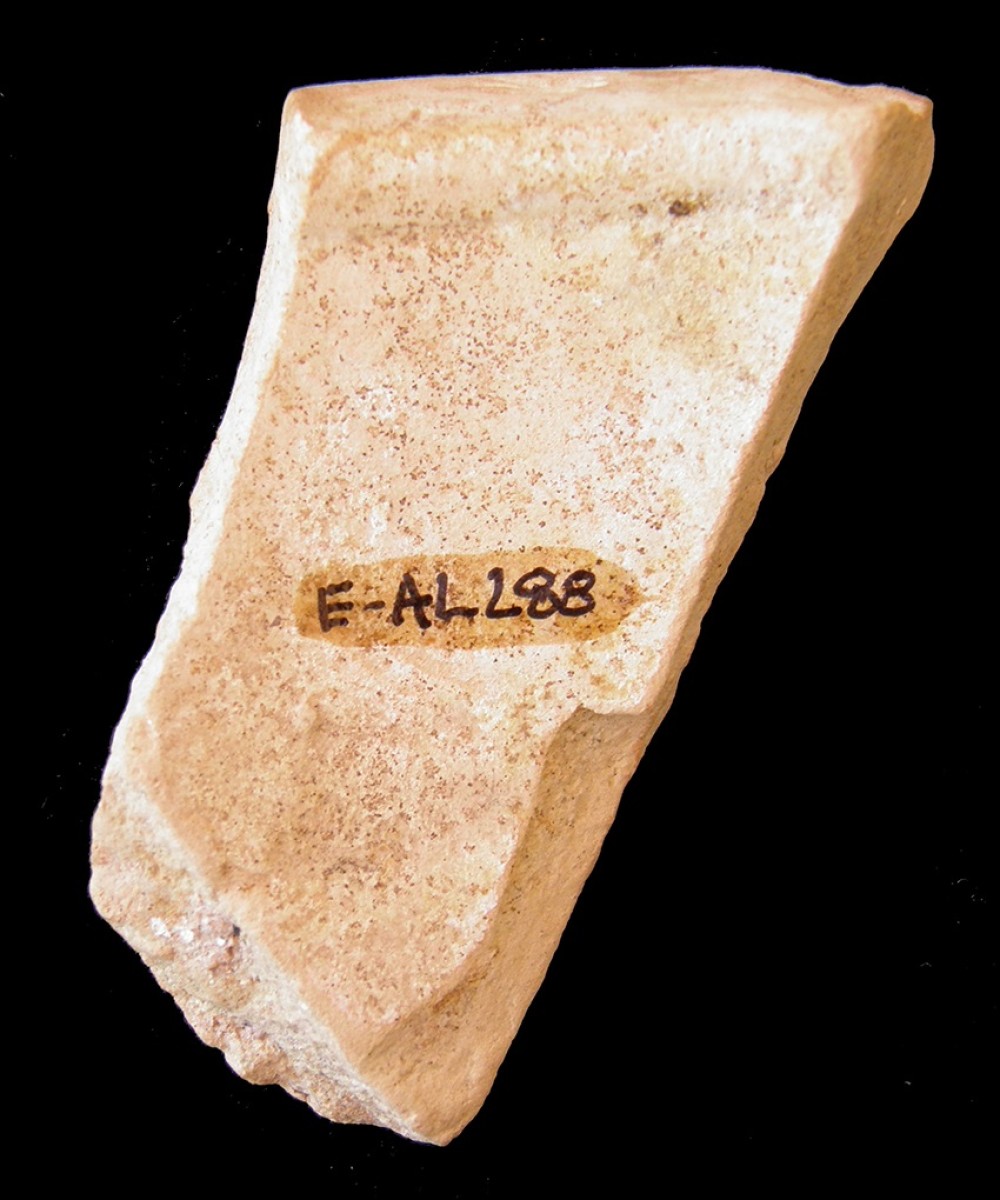 102.JPG