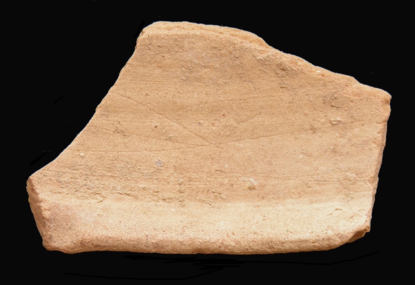 103.JPG