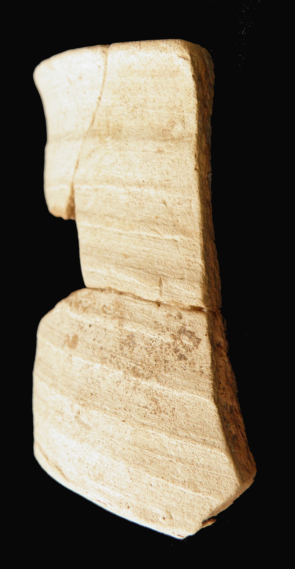 100.JPG