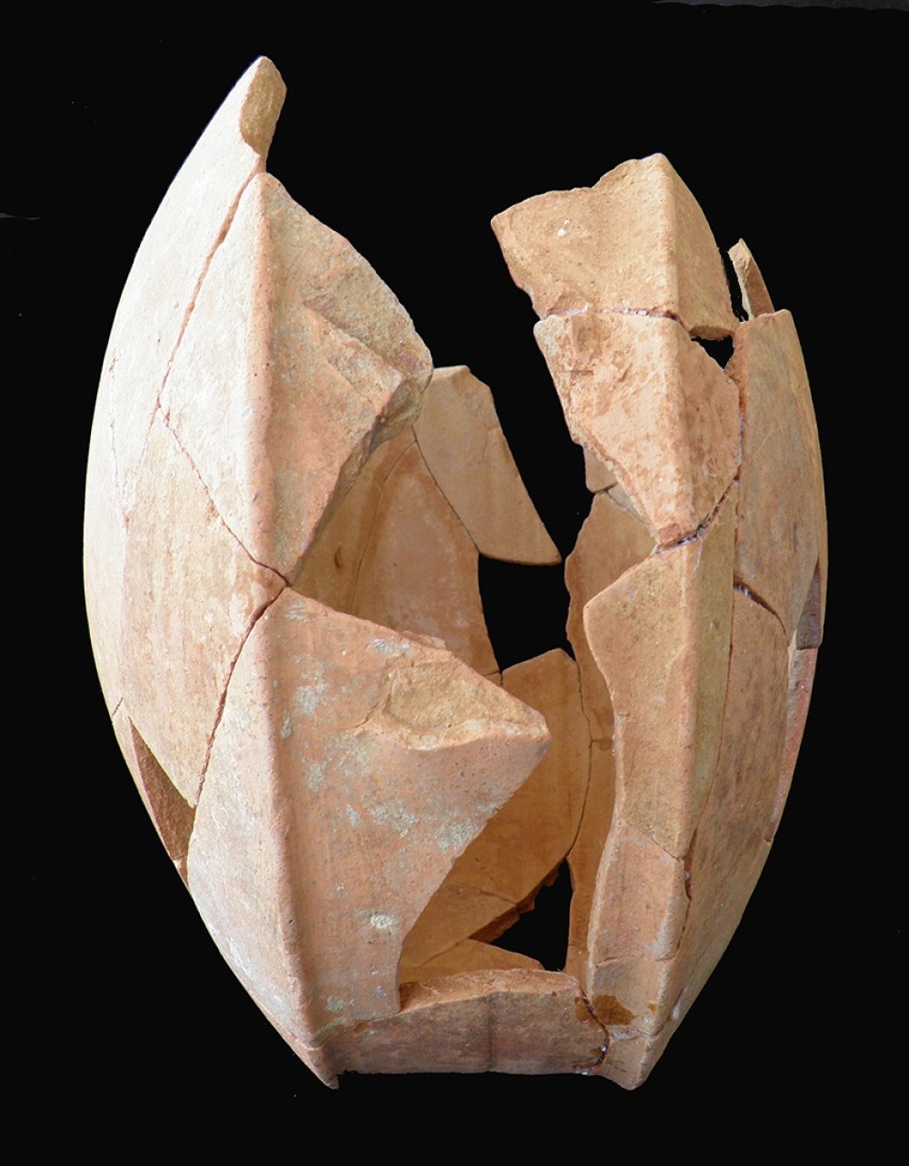 100.JPG