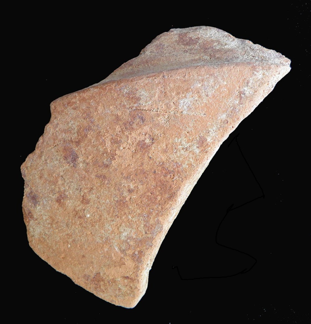 106.JPG