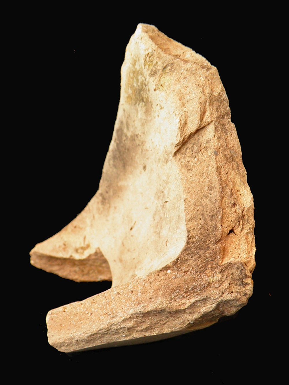 102.JPG