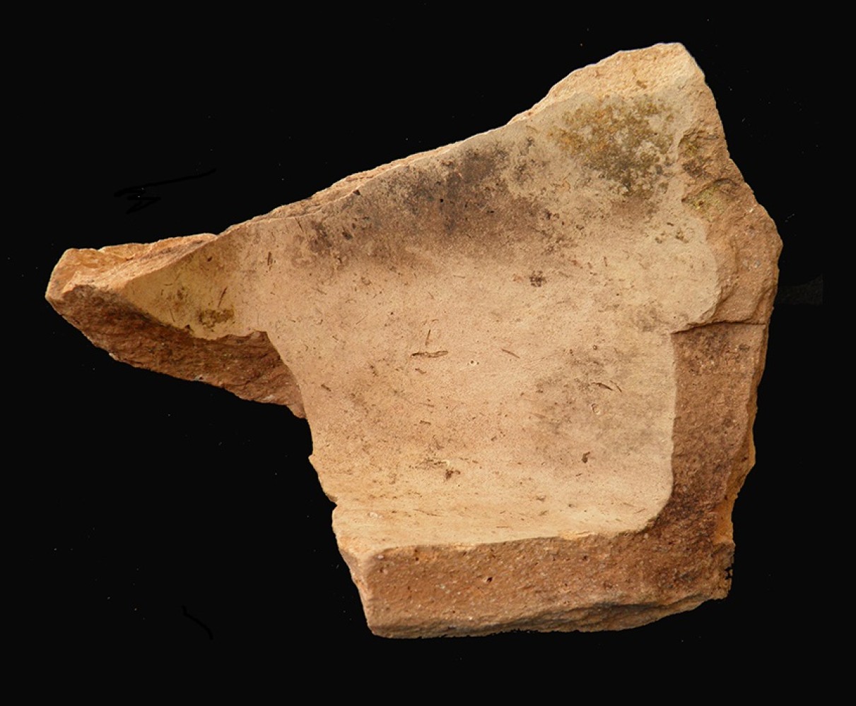 103.JPG