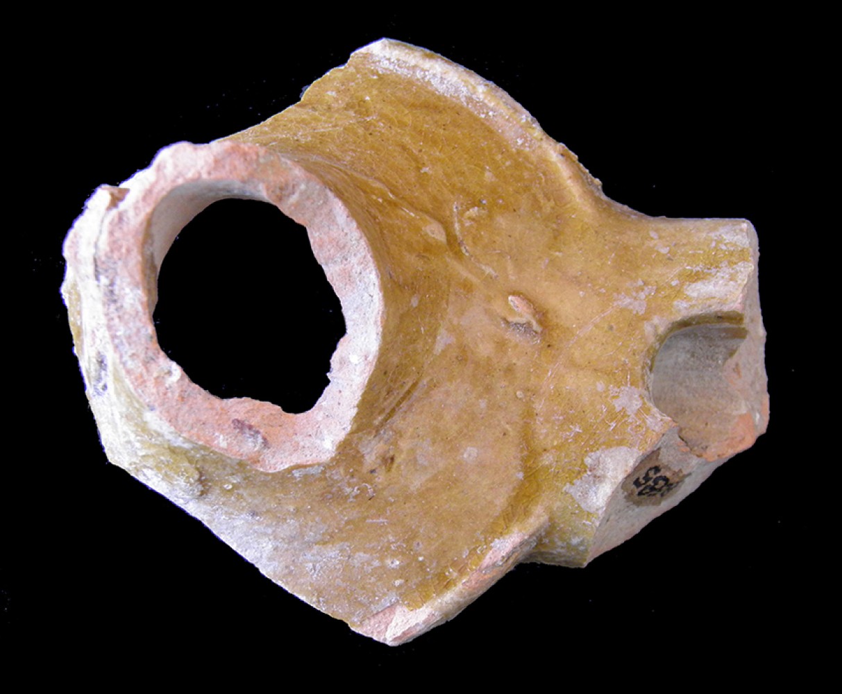 100.JPG
