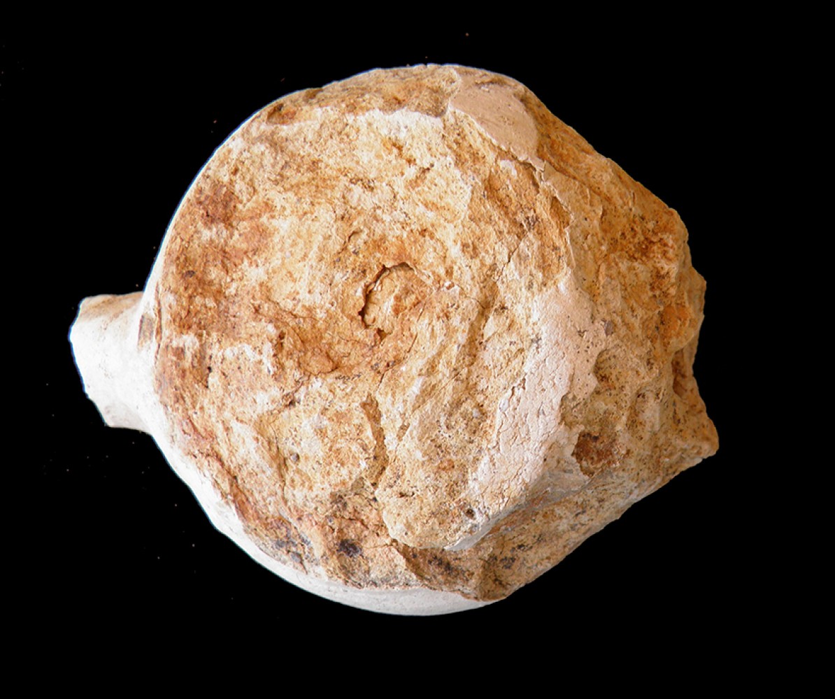 103.JPG