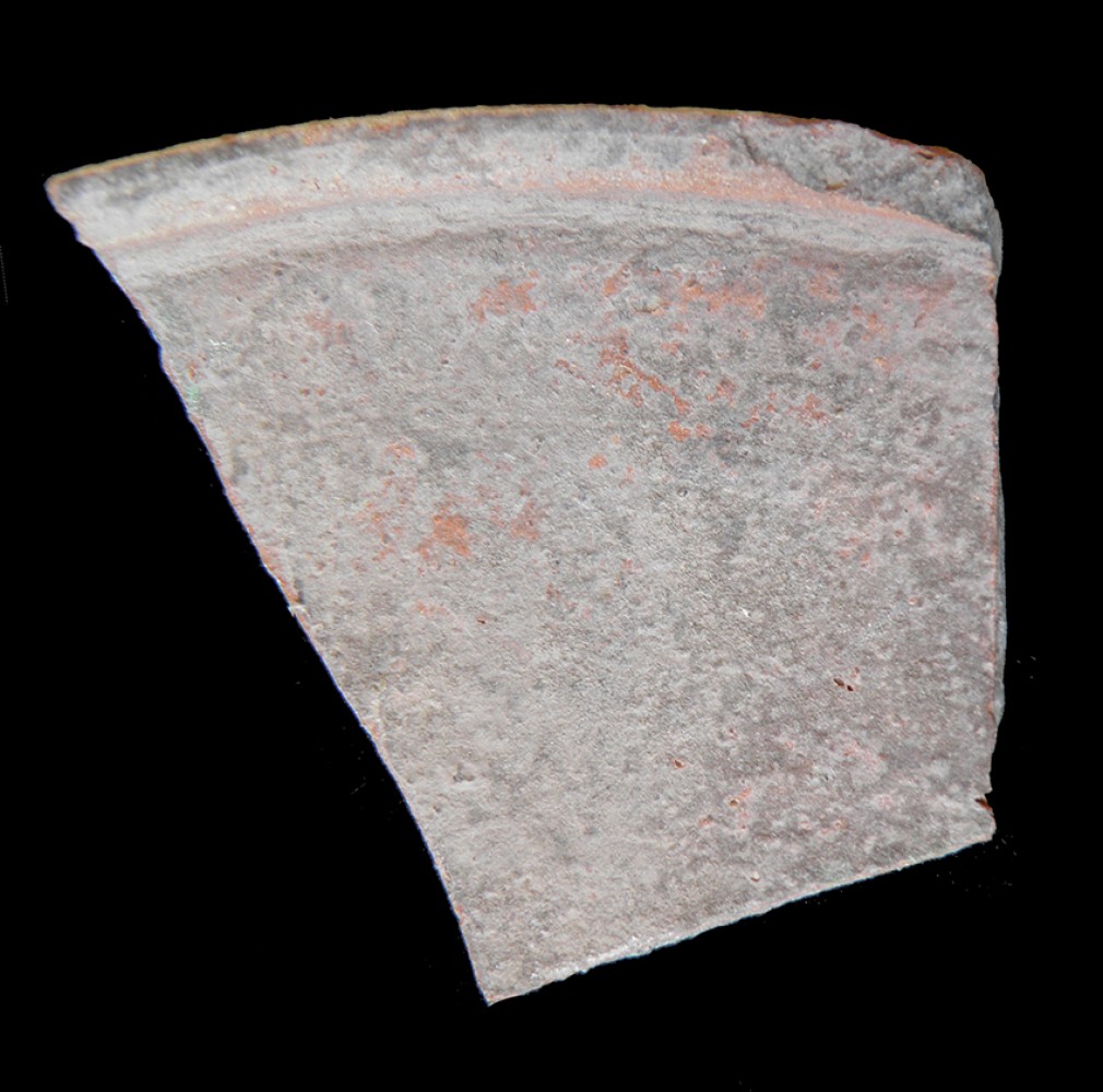 100.JPG