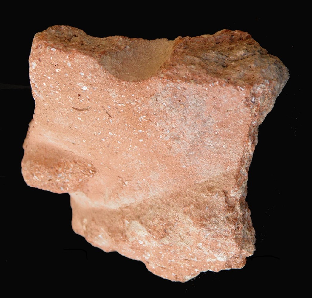 103.JPG