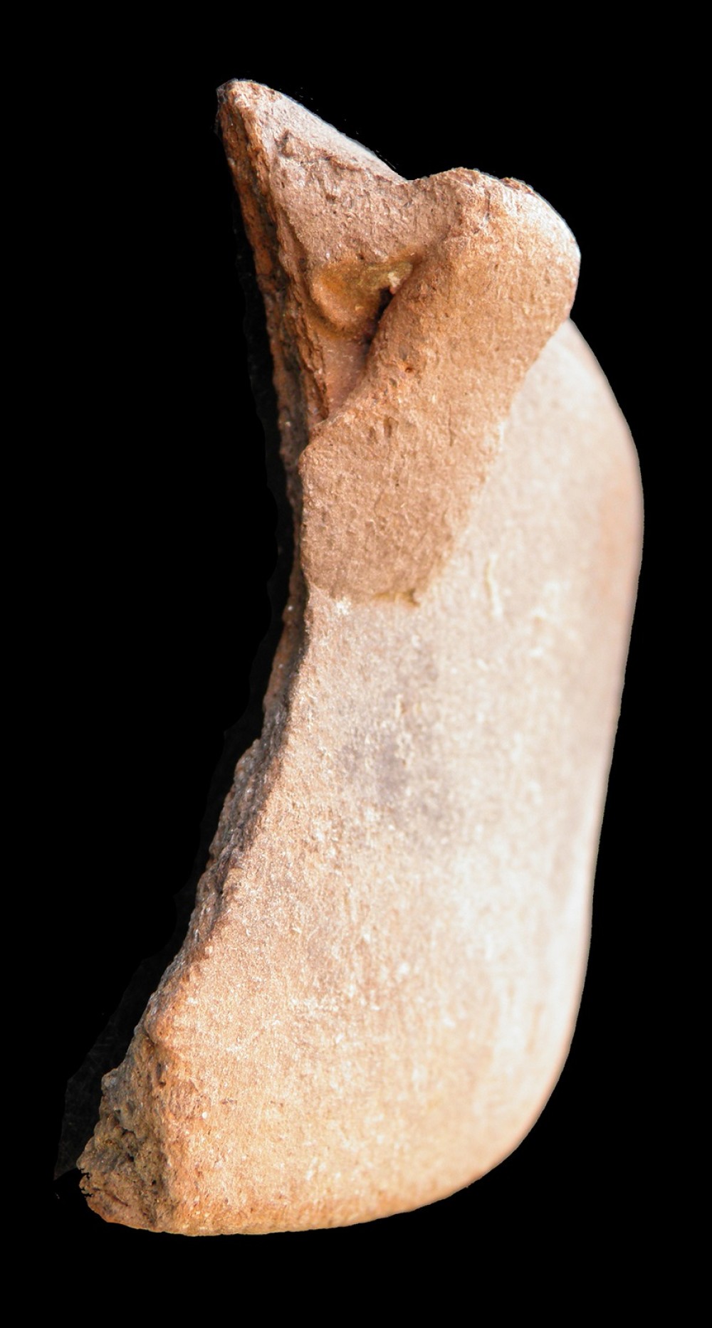 100.JPG