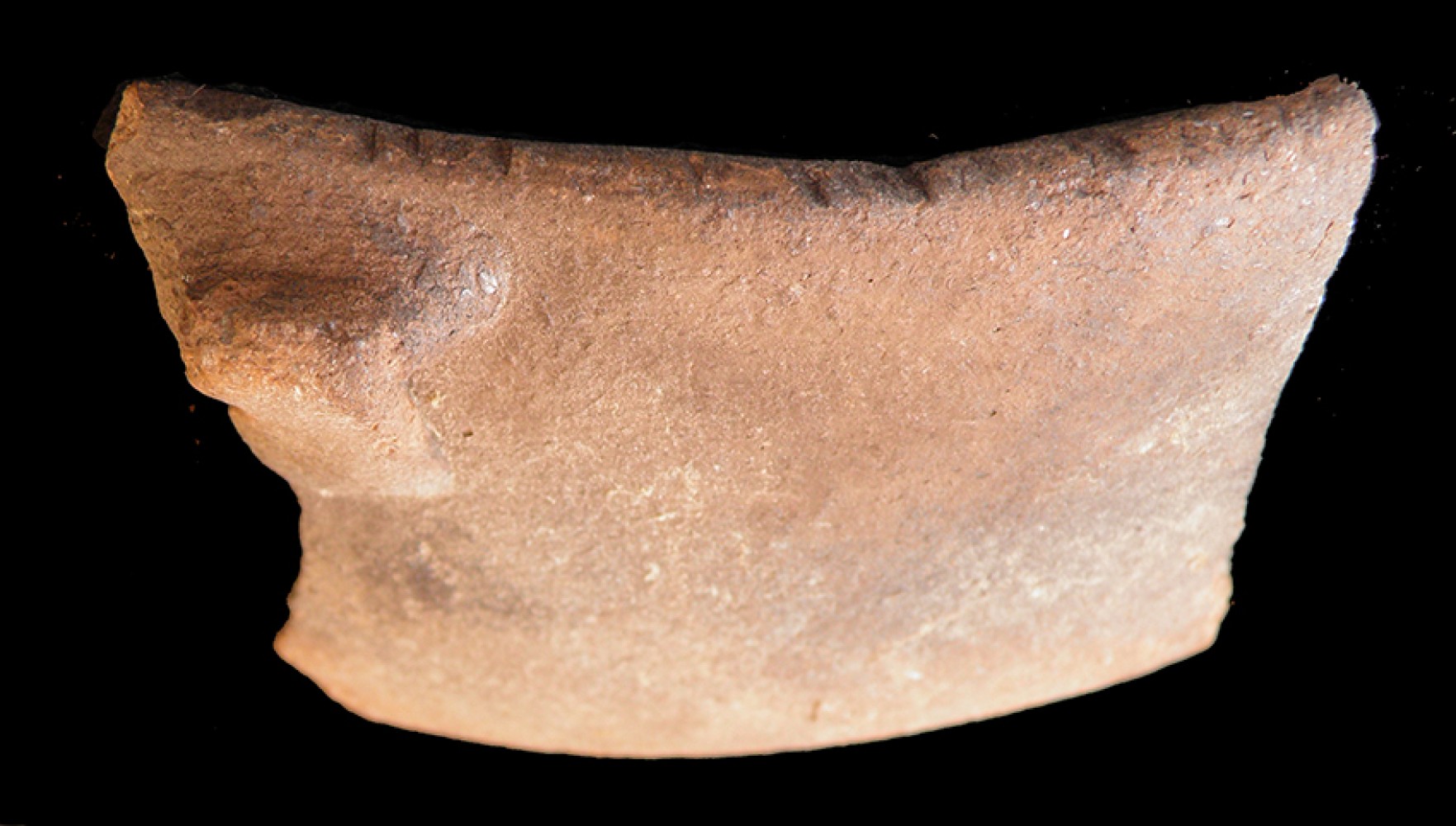 103.JPG