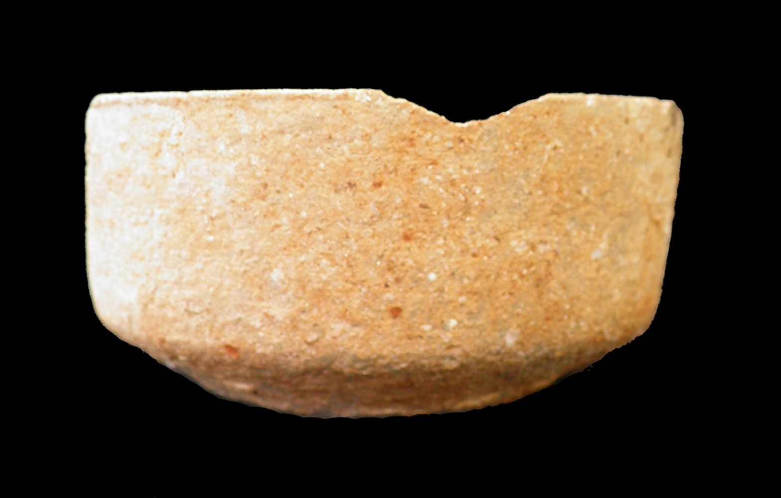 100.JPG