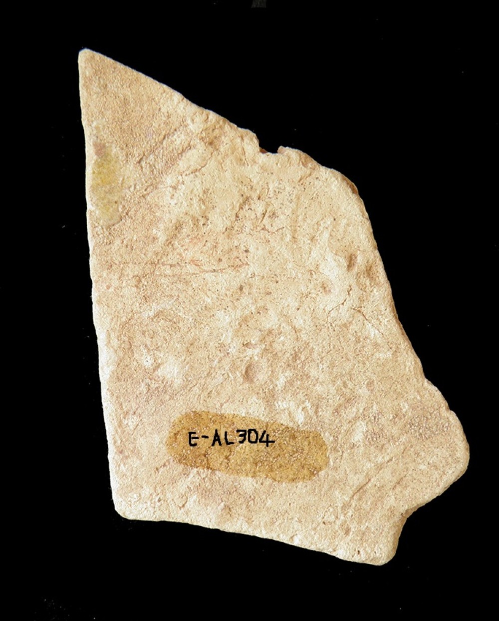 103.JPG