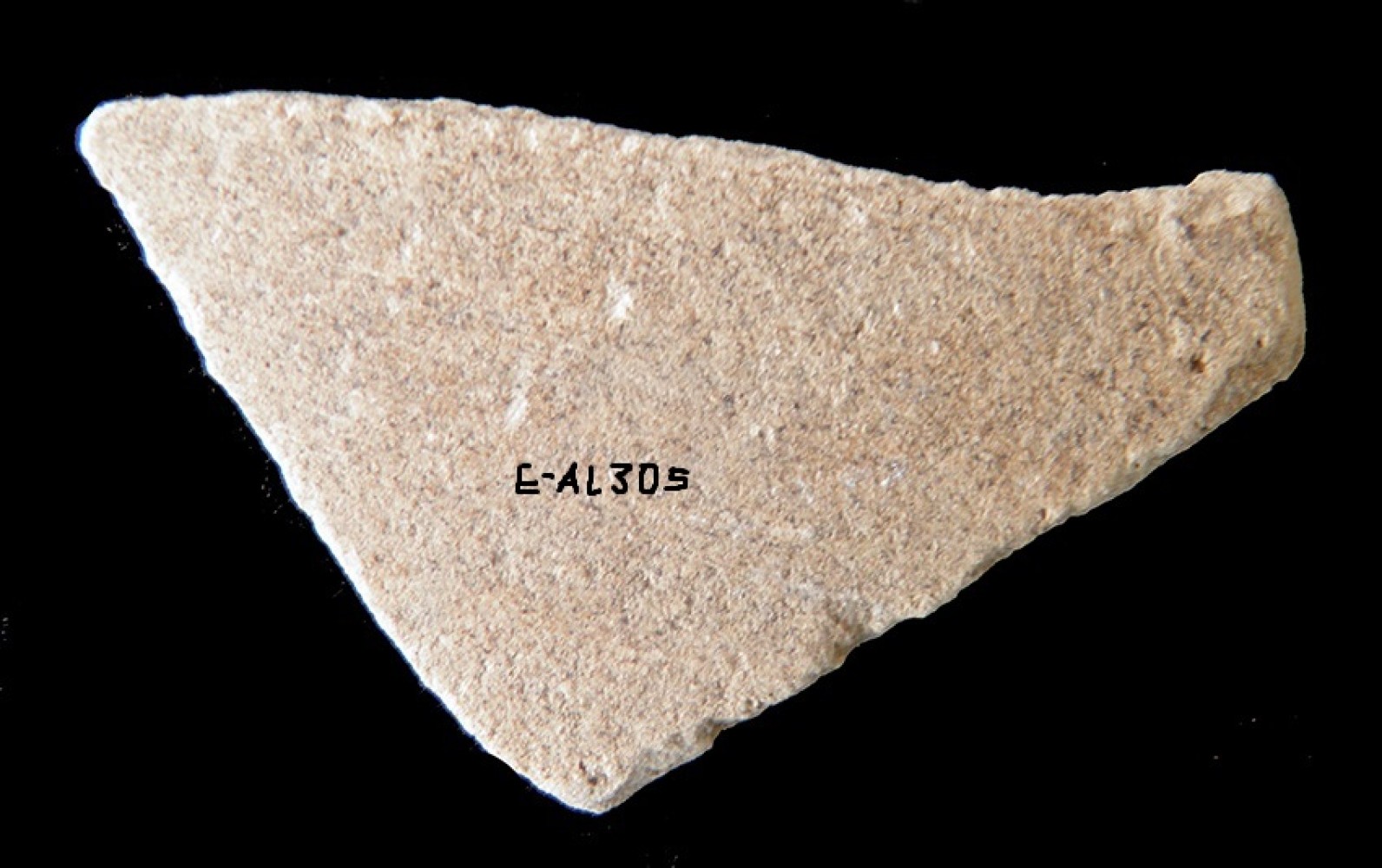 101.JPG
