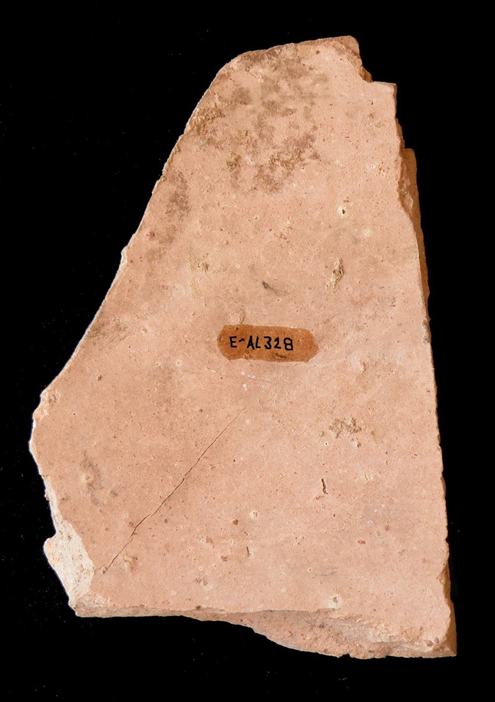 100.JPG