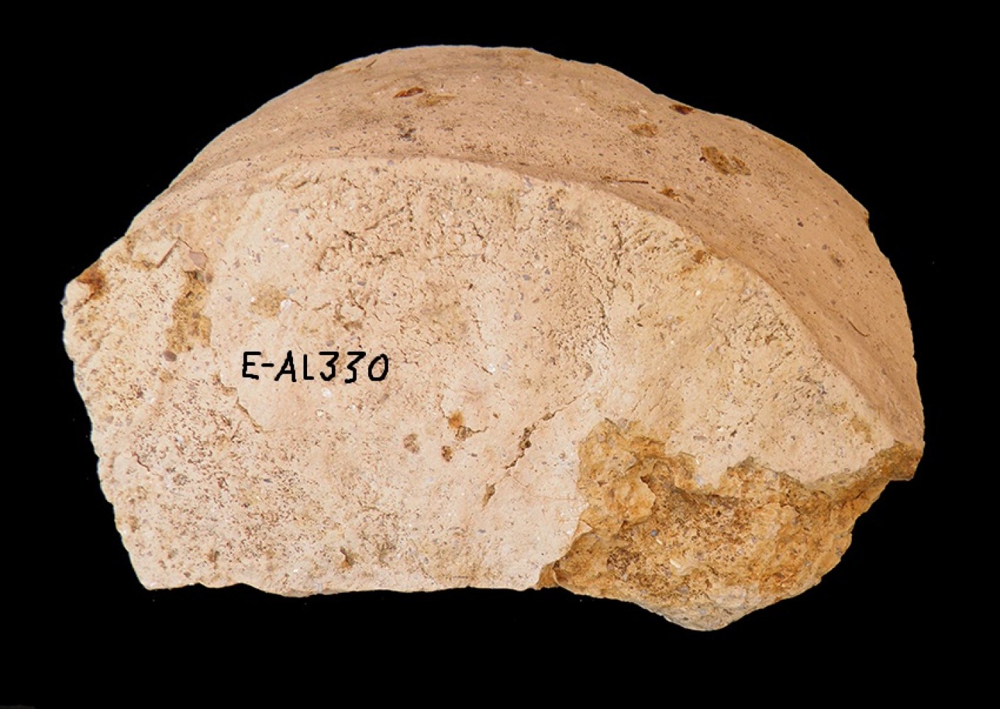 103.JPG