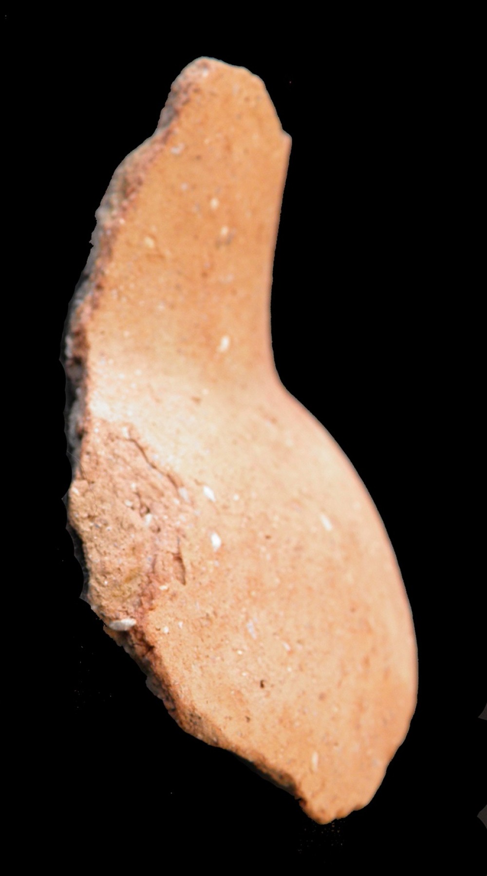 100.JPG