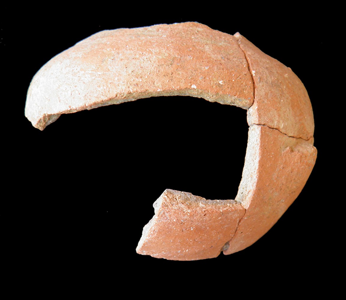 100.JPG